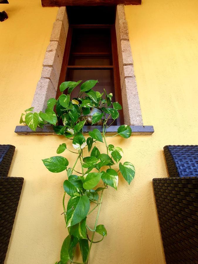 Palmas Anna'S Rooms Is Procilis Palmas Arborea Exterior foto